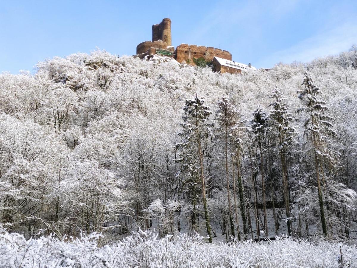 Ferienwohnung 'Unter Der Burg' Brodenbach Bagian luar foto
