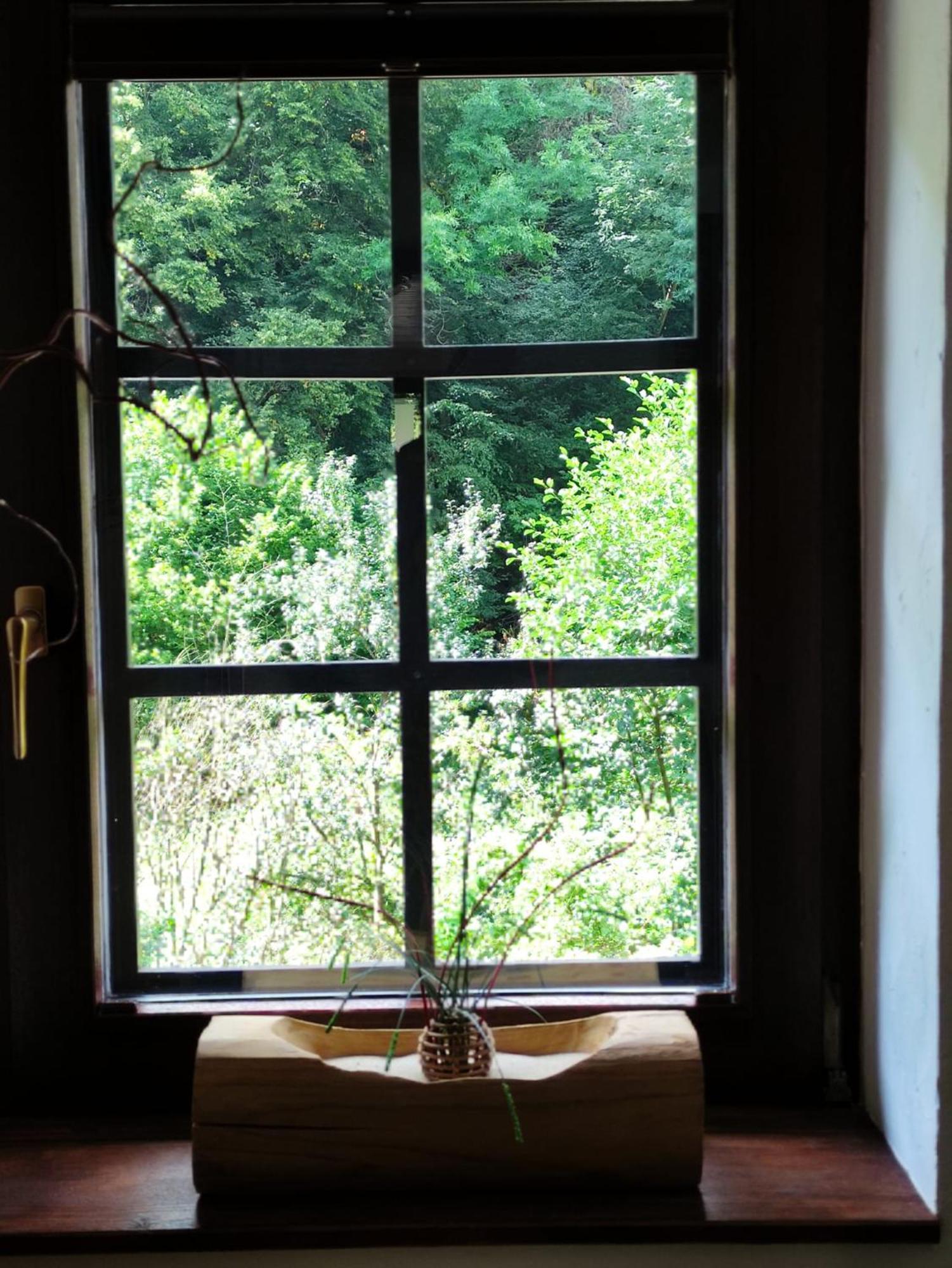 Ferienwohnung 'Unter Der Burg' Brodenbach Bagian luar foto